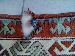 IMG_20170511192752